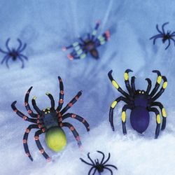 Neon Spinnen mit Netz